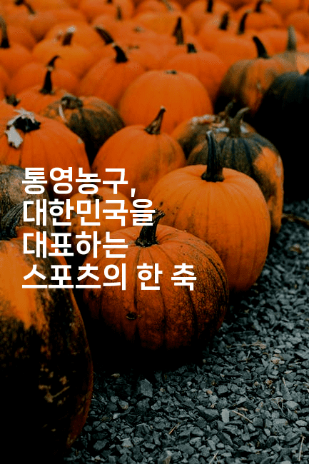 통영농구, 대한민국을 대표하는 스포츠의 한 축2-스포티