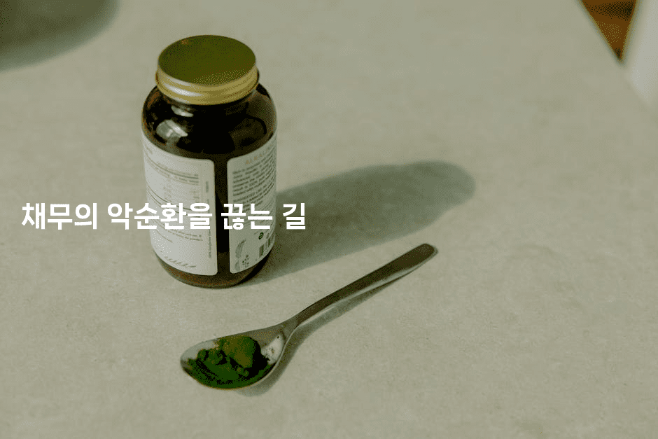 채무의 악순환을 끊는 길