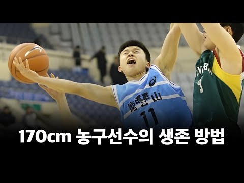 170cm 농구선수의 생존법