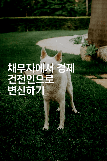 채무자에서 경제 건전인으로 변신하기-스포티