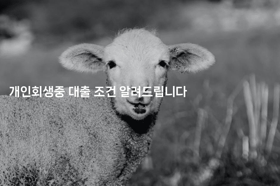 개인회생중 대출 조건 알려드립니다-스포티