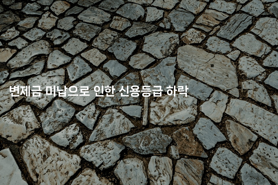 변제금 미납으로 인한 신용등급 하락-스포티